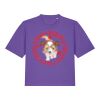 Women’s Stella Nova Boxy T Shirt  Thumbnail