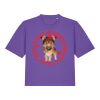 Women’s Stella Nova Boxy T Shirt  Thumbnail