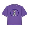 Women’s Stella Nova Boxy T Shirt  Thumbnail