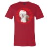 Premium Unisex T Shirt by Bella & Canvas Thumbnail