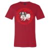 Premium Unisex T Shirt by Bella & Canvas Thumbnail
