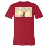 Premium Unisex T Shirt by Bella & Canvas Thumbnail