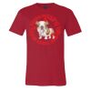 Premium Unisex T Shirt by Bella & Canvas Thumbnail