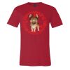 Premium Unisex T Shirt by Bella & Canvas Thumbnail