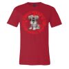 Premium Unisex T Shirt by Bella & Canvas Thumbnail