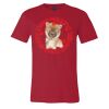 Premium Unisex T Shirt by Bella & Canvas Thumbnail