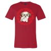 Premium Unisex T Shirt by Bella & Canvas Thumbnail