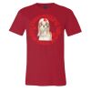 Premium Unisex T Shirt by Bella & Canvas Thumbnail