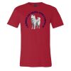 Premium Unisex T Shirt by Bella & Canvas Thumbnail