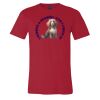Premium Unisex T Shirt by Bella & Canvas Thumbnail